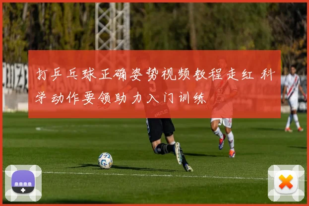 打乒乓球正确姿势视频教程走红 科学动作要领助力入门训练
