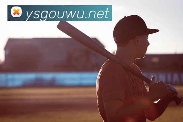 世界杯平台官网登录APP 高清赛事图